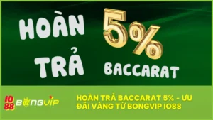 Hoàn trả Baccarat 5% là cơ hội vàng để giữ vốn và tiếp tục cuộc chơi tại BongVip IO88