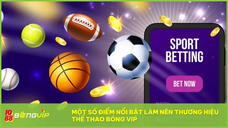 Một số điểm nổi bật làm nên thương hiệu thể thao Bóng Vip